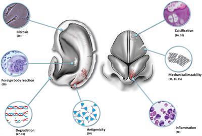 Tissue-Engineered Solutions in Plastic and Reconstructive Surgery: Principles and Practice